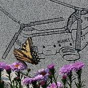Monarch butterflies visit the grave of Capt Jennifer Harris. Photo courtesy of Tony and Linda Macone. 